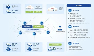 國家權威認證！深信服SASE榮獲CCRC數(shù)據(jù)安全管理認證，為互聯(lián)網(wǎng)數(shù)據(jù)服務保駕護航
